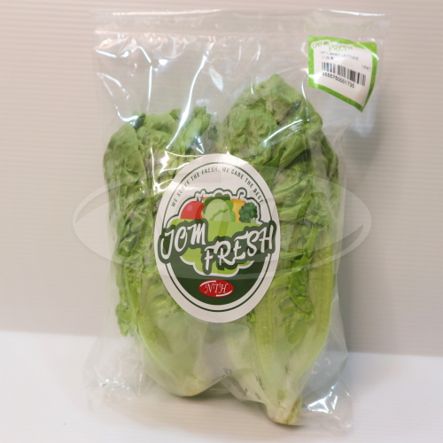 Ngee Teck Huat Vegetable Supplier Johor Bahru (JB), Malaysia Packed